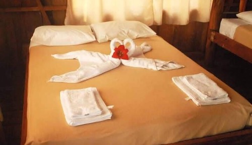 Basic Cabin, Multiple Beds