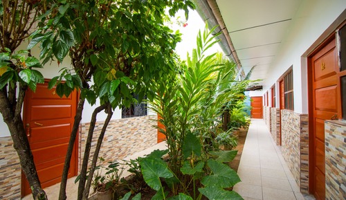 Traditional Single Room