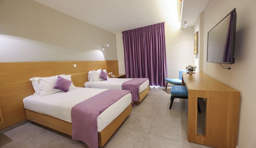 Deluxe Double or Twin Room