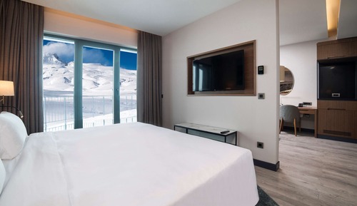 Premium Room, Mountain View