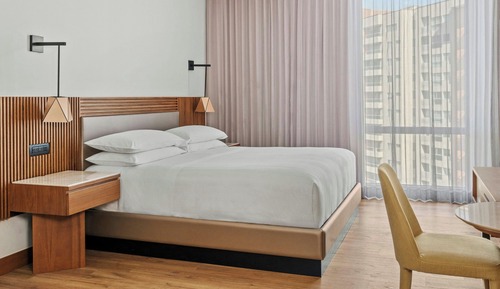 Room, 1 King Bed, Smoking