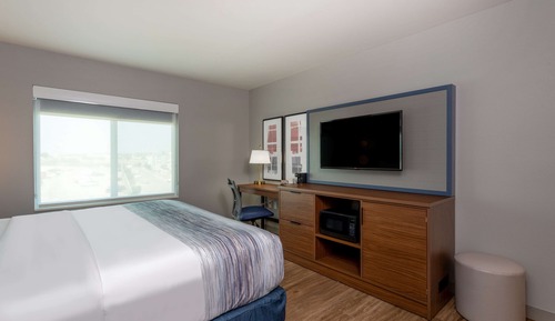 Room, 1 King Bed, Accessible, Non Smoking (Mob,Hear,Tub w/Grab Bars)