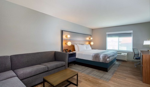 Business Room, 1 King Bed, Non Smoking