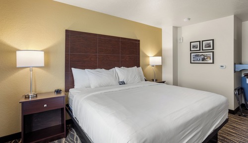 Room, 1 King Bed, Accessible, Non Smoking (Guestroom)