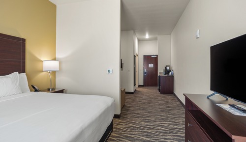 Studio, Multiple Beds, Non Smoking