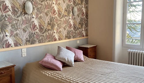Comfort Single Room