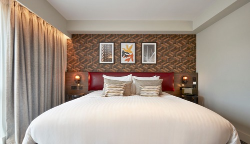Standard Room, 1 Queen Bed, Accessible