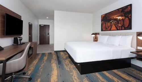 Room, 1 King Bed, Accessible, Non Smoking (Roll-In Shower)
