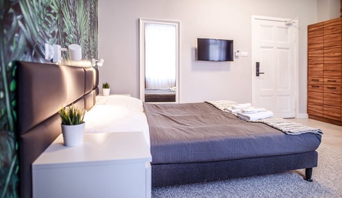 Deluxe Studio Suite, 1 Queen Bed