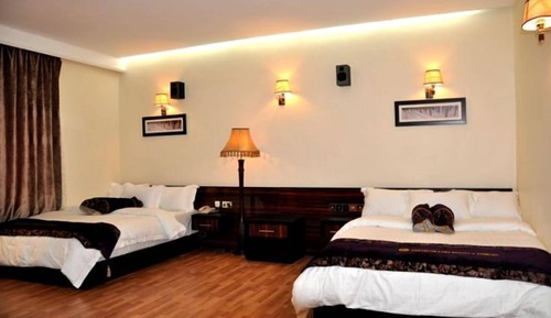Premium Suite