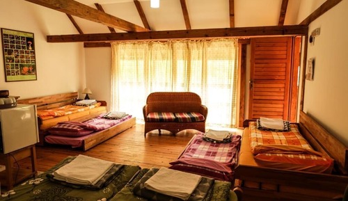 Room, Multiple Beds
