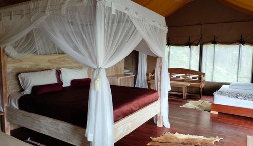 Family Tent