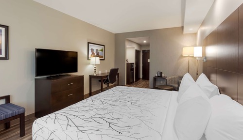 Standard Room, 1 King Bed, Non Smoking, Refrigerator & Microwave