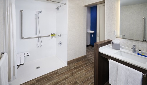 Room, 1 King Bed (Roll-In Shower)