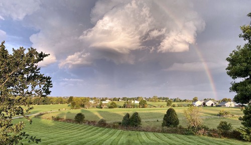 Honeymoon Studio Suite (Blackberry Blossom)