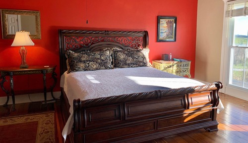 Single Room (Tiger Lily)