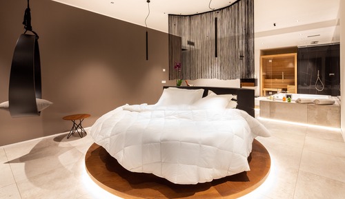 Executive Suite, Hot Tub (sauna and emotional shower)