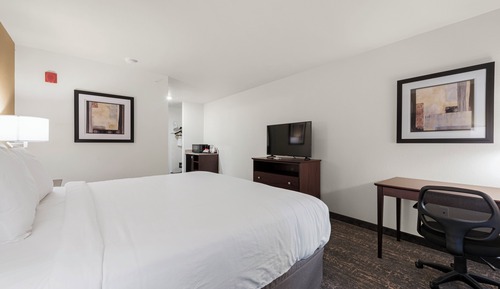 Room, 1 King Bed, Non Smoking (with Audible/Visual Alert)