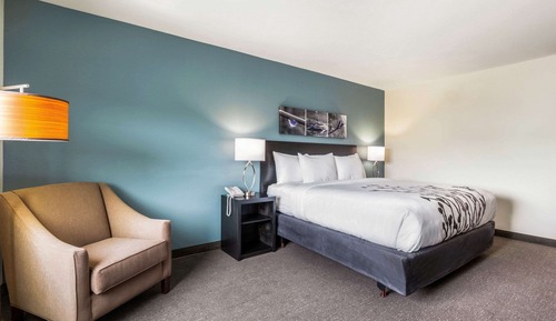 Standard Room, 1 King Bed, Non Smoking
