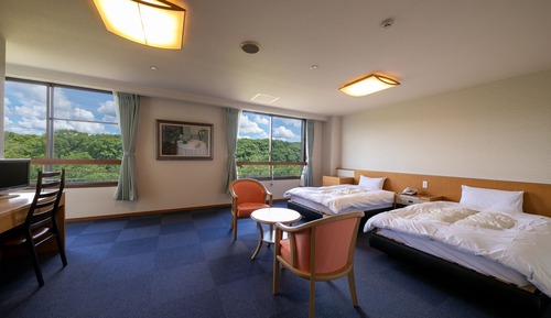 Accessible Twin Room