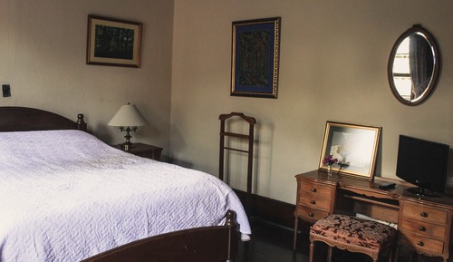 Standard Single Room, 1 Queen Bed, Courtyard View