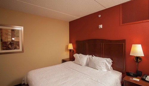Room, 1 King Bed, Accessible, Non Smoking (Hearing Accessible)