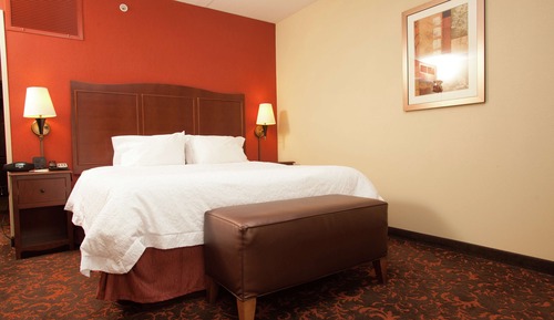 Room, 1 King Bed