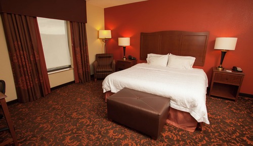 Room, 1 King Bed, Accessible, Non Smoking (Roll-In Shower)