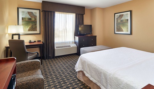 Room, 1 King Bed, Accessible