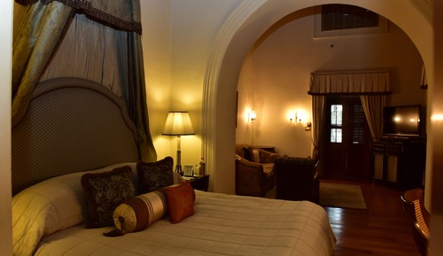 Palace Room, 1 Kind Bed, Garden View