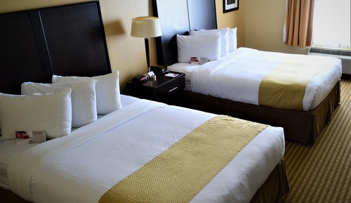 Kitchenette room, 2 queen beds, non smoking