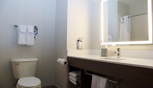Suite, 1 King Bed