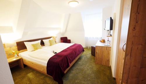 Standard Double Room Single Use