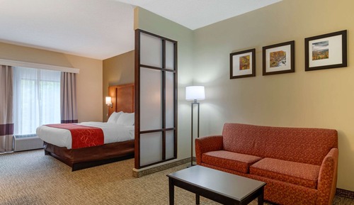 Suite, 1 King Bed with Sofa bed, Accessible, Non Smoking