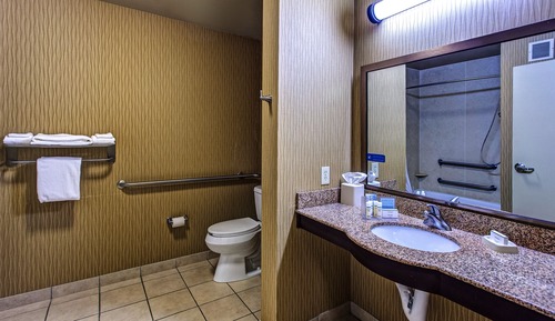Room, 1 Queen Bed, Accessible (Mobility & Hearing, Roll-in Shower)