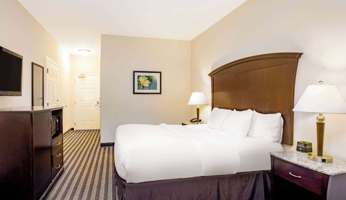 Room, 1 King Bed, Accessible, Non Smoking (Mobility, Roll-In Shower)