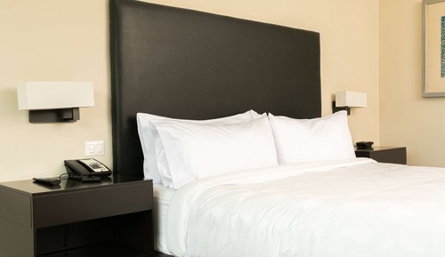 Room, 1 King Bed