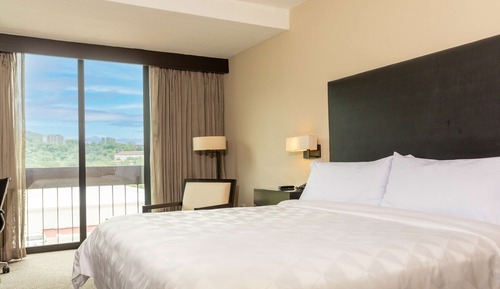 Room, 1 King Bed, Accessible (Roll-In Shower)