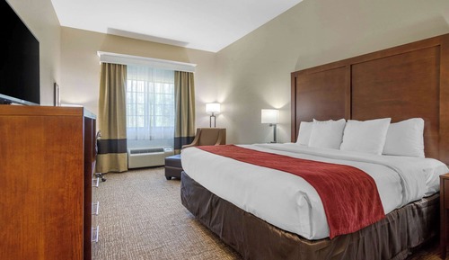 Standard Room, 1 King Bed, Non Smoking