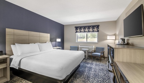 Standard Room, 1 King Bed, Non Smoking (Walk-in Shower)