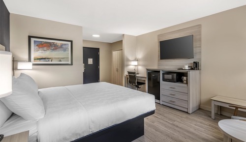 Standard Room, 1 King Bed, Non Smoking (Walk-in Shower;Pet Friendly)
