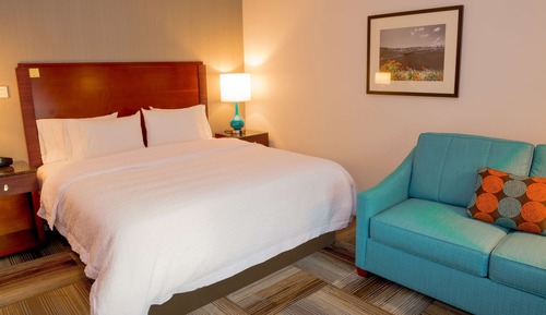Room, 1 King Bed