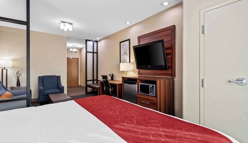 Suite, 1 King Bed with Sofa bed, Non Smoking