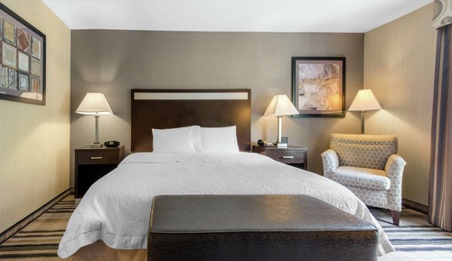 Room, 1 King Bed, Accessible, Non Smoking