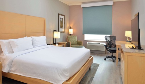 Room, 1 King Bed