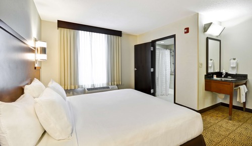 Guest Room, Room, 1 King Bed with Sofa bed