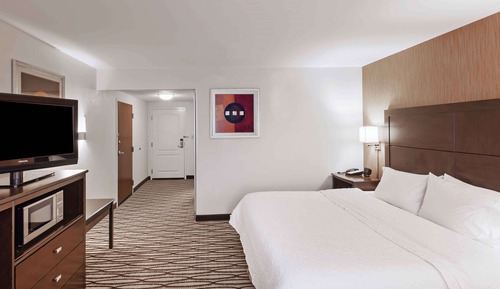 Room, 1 King Bed, Accessible