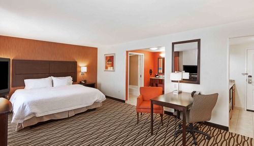 Studio Suite, 1 King Bed with Sofa bed