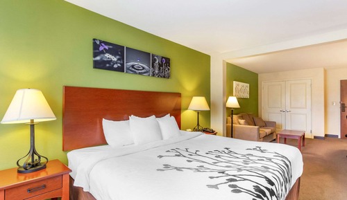 Suite, 1 King Bed, Accessible, Non Smoking