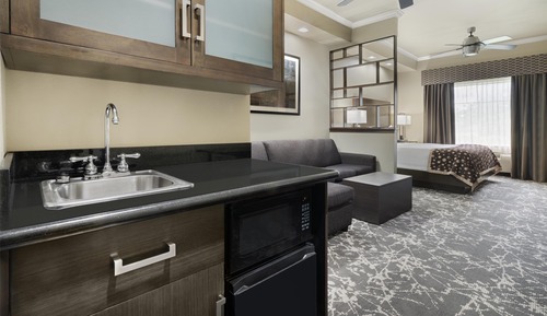 Standard Room, 1 King Bed, Accessible, Refrigerator & Microwave (Walk-in Shower;with Sofabed)
